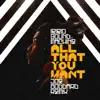 Ibibio Sound Machine - All That You Want (Joe Goddard Remix) - Single